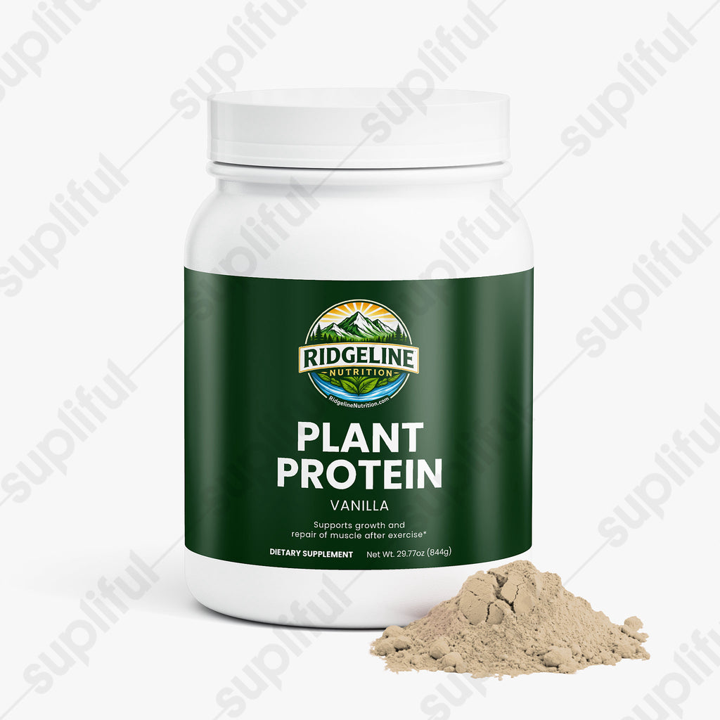 Plant Protein (Vanilla)
