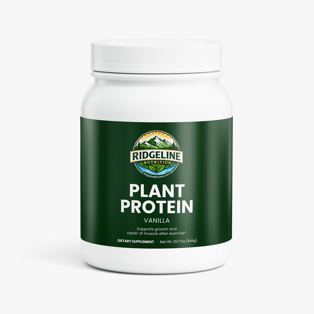Plant Protein (Vanilla)
